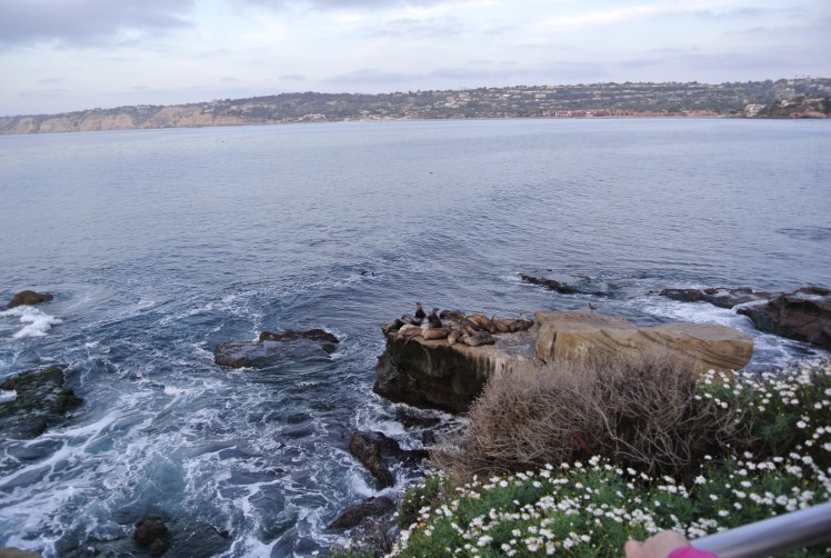 La Jolla Beach California