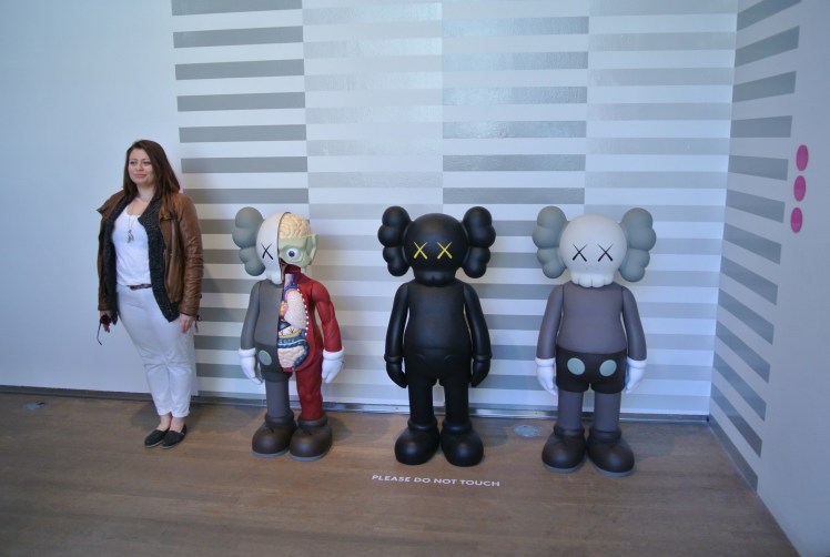 Companion Kaws