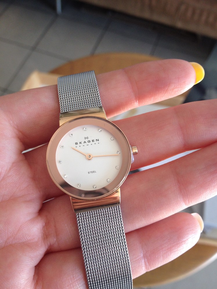 Skagen Steel Watch
