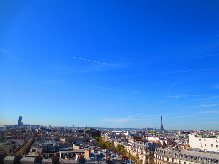 Paris View